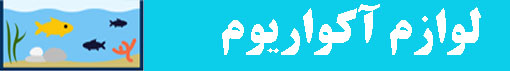 نور توئین استار