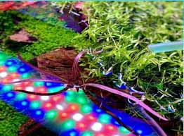 فروش ال ای دی Twinstar